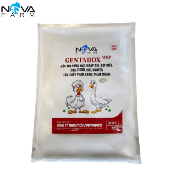 GENTADOX WSP